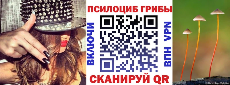 Галлюциногенные грибы Psilocybine cubensis  Озёры 